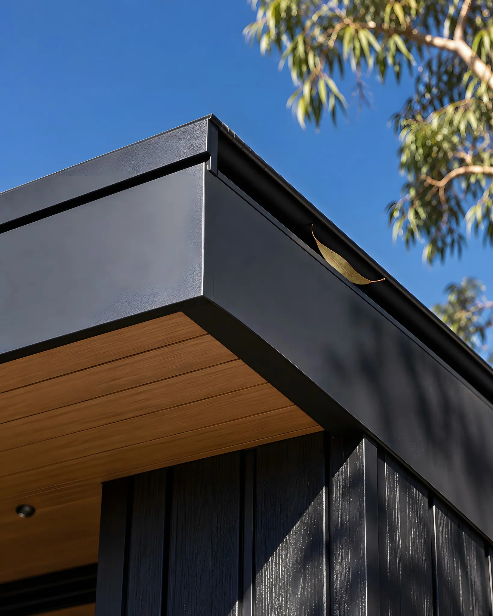 Close-up of the slim black roof fascia meeting charcoal vertical cladding, with a timber-lined soffit beneath.